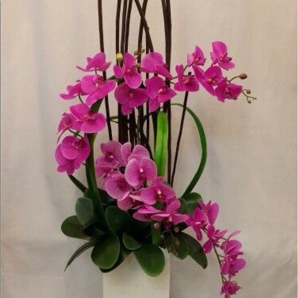 Meet your Posher, Maggie - Picture 1 of 1